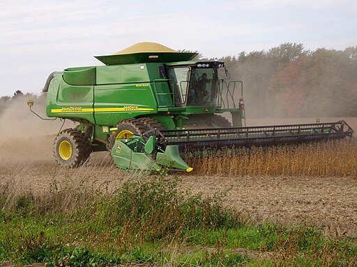 Harvesting soybeans