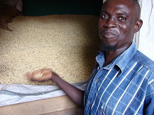 Agricultural business owner in Ghana (5927500466)