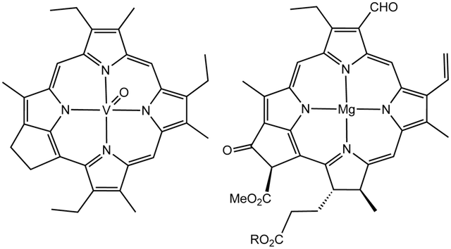 Abiogenic petroleum origin