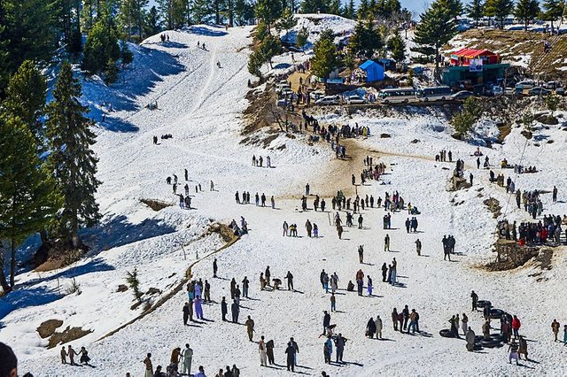 Skiing in Malam Jabba