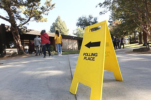 Voters line up outside a polling place in California. Photo by  Owen Yancher. reative Commons Attribution-Share Alike 4.0 International license.