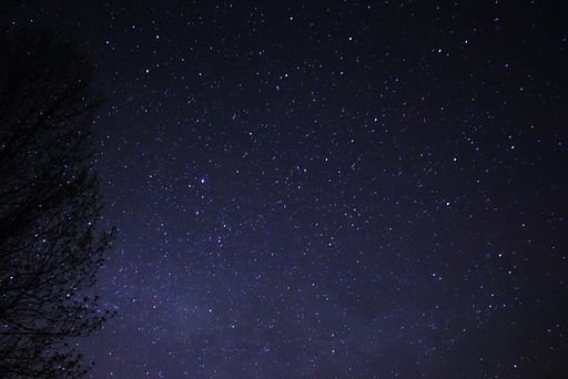 Night Sky Stars Trees 03