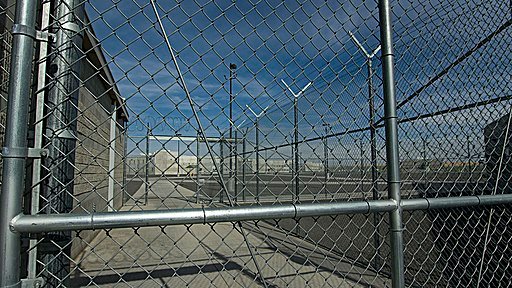 Prisoners Growing Sagebrush - 21476138425
