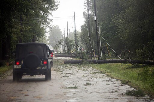 Downed power lines near New Caney, TX, after Hurricane Beryl. Photo by Jill Carlson. Creative Commons Attribution 2.0 Generic license.