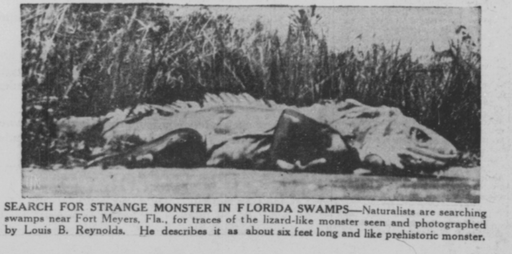 Alleged lizard monster photographed by Louis B. Reynolds near Fort Myers, Florida. Public domain.