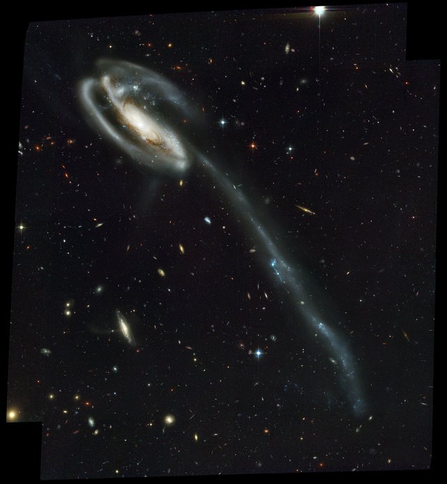 Tadpode Galaxy