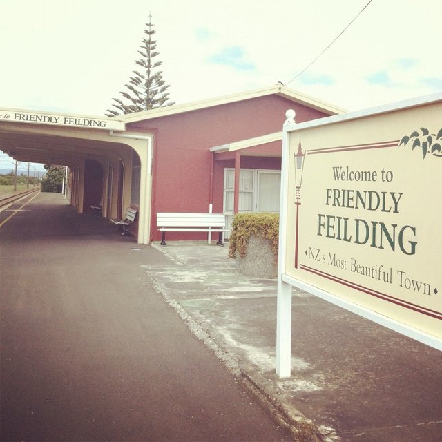 Image result for feilding