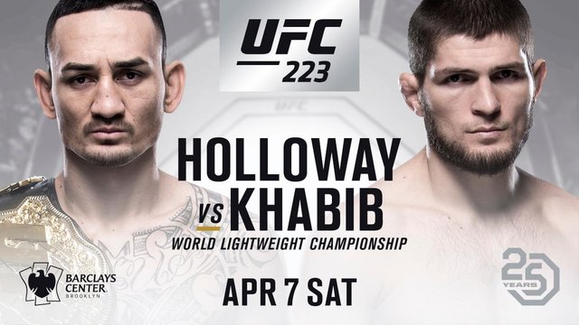 Image result for UFC 223