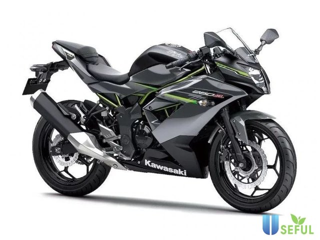 Kawasaki Ninja 250/300