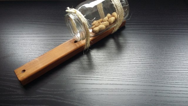 Squirrel Feeder Steemit