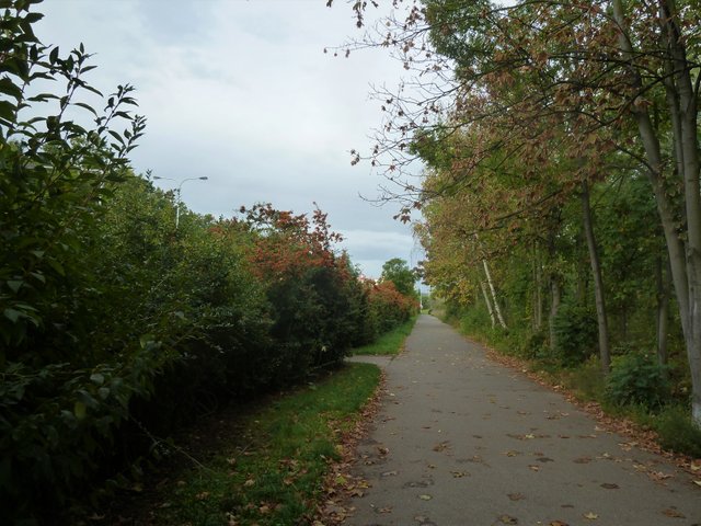 P1110654.JPG