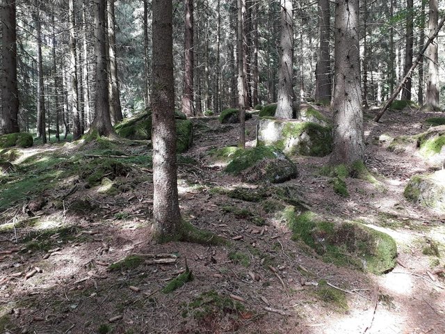 20250611_155643.jpg