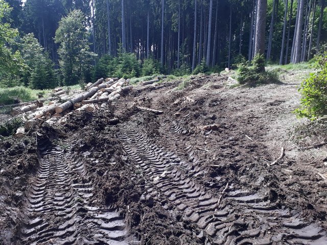 20250611_155227.jpg