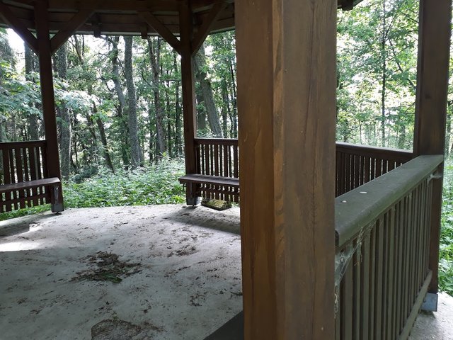 20250611_161552.jpg