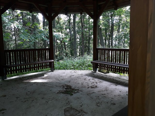 20250611_161555.jpg