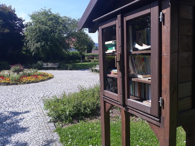 20250613_155138.jpg