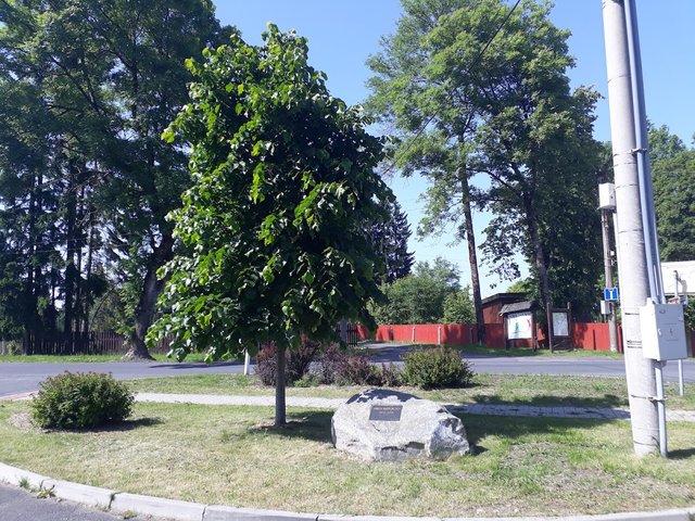 20250614_160514.jpg