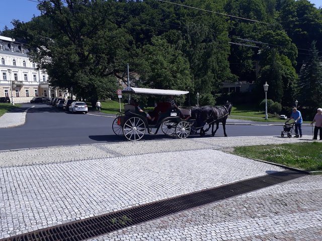 20250614_153323.jpg