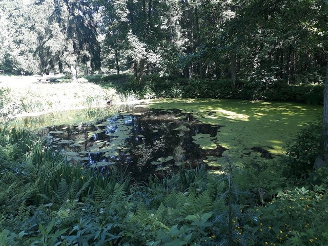 20250614_155054.jpg