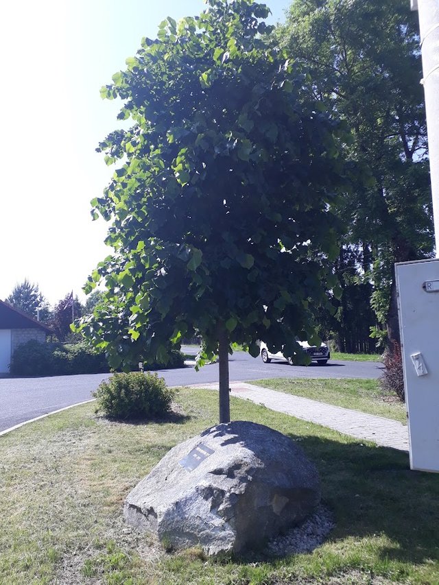 20250614_160503.jpg