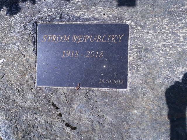 20250614_160449.jpg