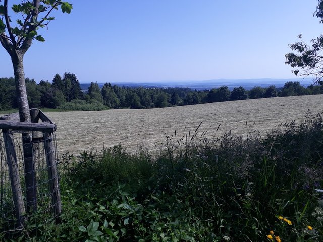 20250614_161342.jpg