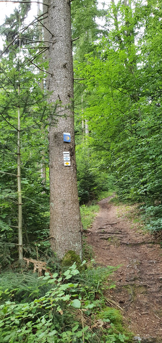 keine Vorschau