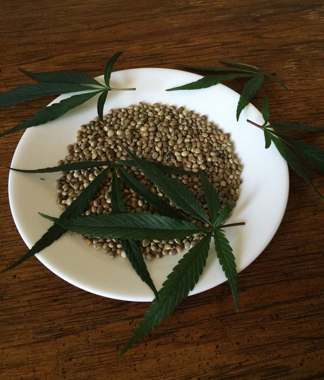 cannabis-seeds