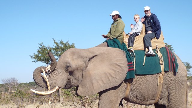 Elephant Ride in Zim
