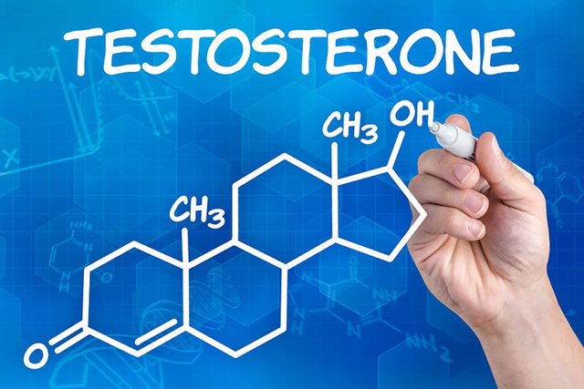 Testosterone là hoocmon nam quan trọng, giữ vai trò điều tiết sức khỏe sinh lý và sinh sản của phái mạnh