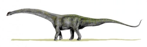 #Top 10 Longest Dinosaurs ever discovered â Steemit
