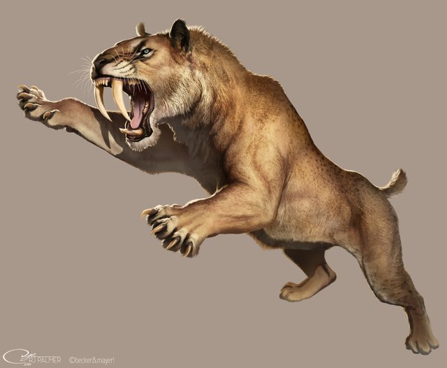 Smilodon