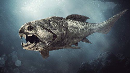 Dunkleosteus