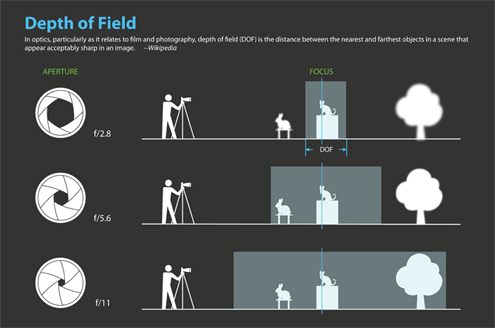 DoF diagram