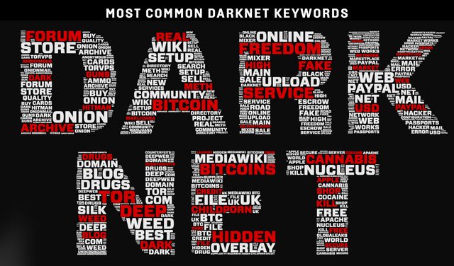 Darknet market search engine