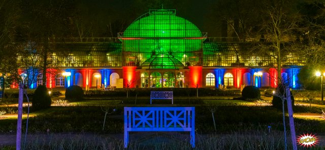 Winter Lights Exhibitin Palmengarten Frankfurt Steemit