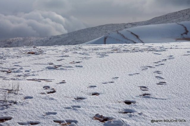 Ain Sefra, Algeria snow on February 6, 2018