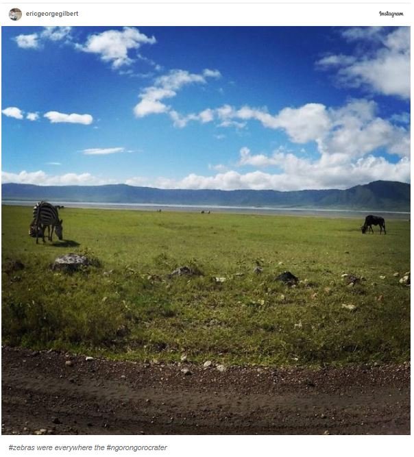 Ngorongoro