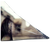 rtfjfy.png