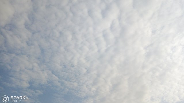 IMG_20181105_073211_9.jpg