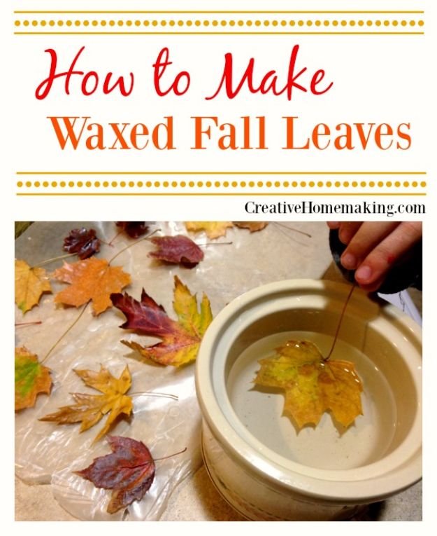 Best Crafts for Fall - Waxed Fall Leaves - DIY Mason Jar Ideas, Dollar Store Crafts, Rustic Pumpkin Ideas, Wreaths, Candles and Wall Art, Centerpieces, Wedding Decorations, Homemade Gifts, Craft Projects with Leaves, Flowers and Burlap, Painted Art, Candles and Luminaries for Cool Home Decor - Quick and Easy Projects With Step by Step Tutorials and Instructions http://diyjoy.com/best-crafts-for-fall
