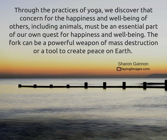 yoga quotes on life