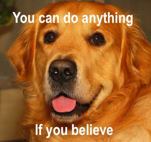 20 Best You Can Do It Memes That Are 100% Encouraging — Steemit