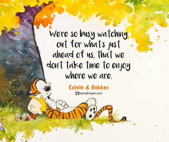 calvin and hobbes motivational quotes