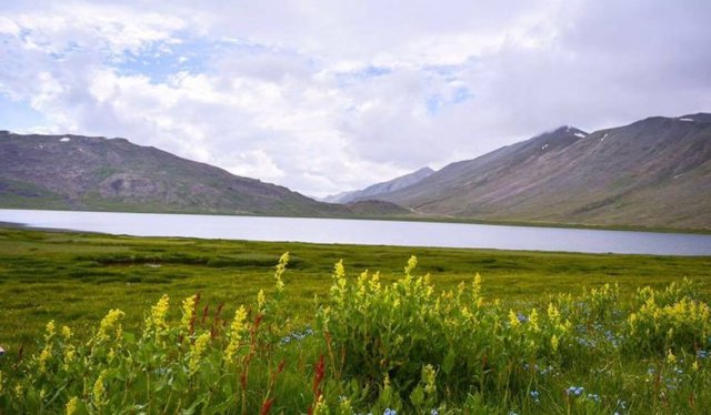 Deosai plains