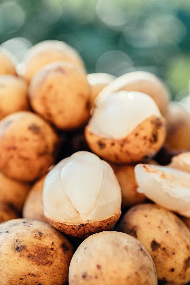 peeled lanzones fruit