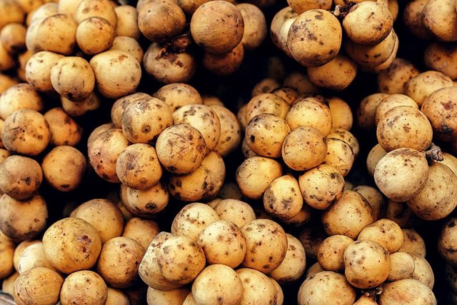 Lanzones