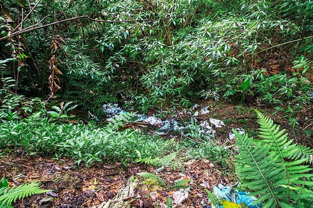 garbage around cameron highlands