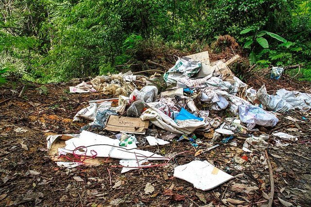 garbage in forest