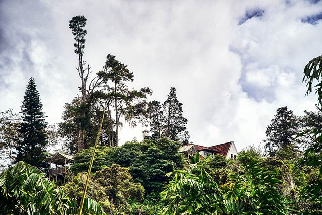 house in the forest